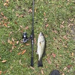 Fishing Rod