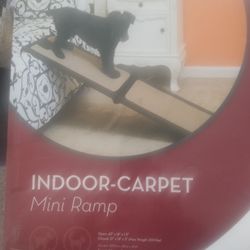 Doggie Ramp