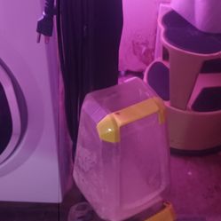 Carpet Cleaner Bissell