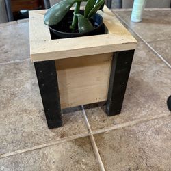 NEW Mini Planter Box With Plant
