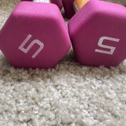 Dumbbell Set