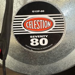 Celestine Seventy 80 22 Inch Speaker In Cabinet 