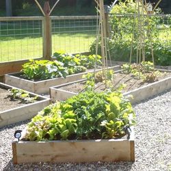 2x12 Western Red Cedar Garden Bed Lumber