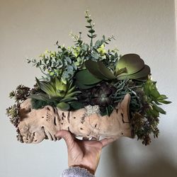 Beautiful Drift Wood With Fake Succulents, Dimensions In Pictures. 