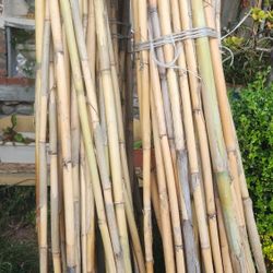 Beautiful Bamboo Poles.     