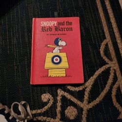 Snoopy And The Red Baroon 