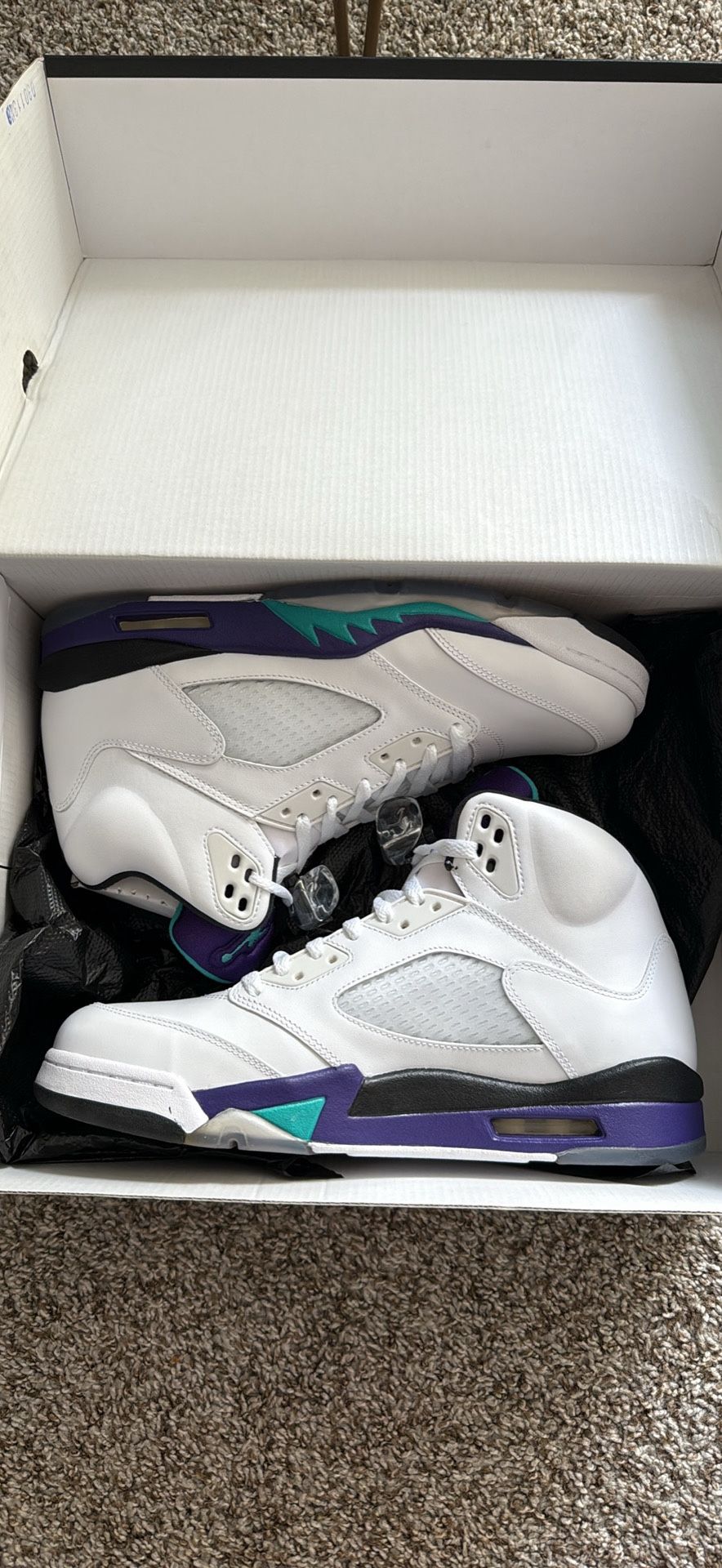 Jordan 5 grape (2013)