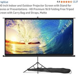 Projector and screen