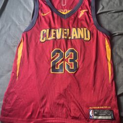 LeBron James Jersey 