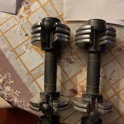 20 Lbs Dumb Bells