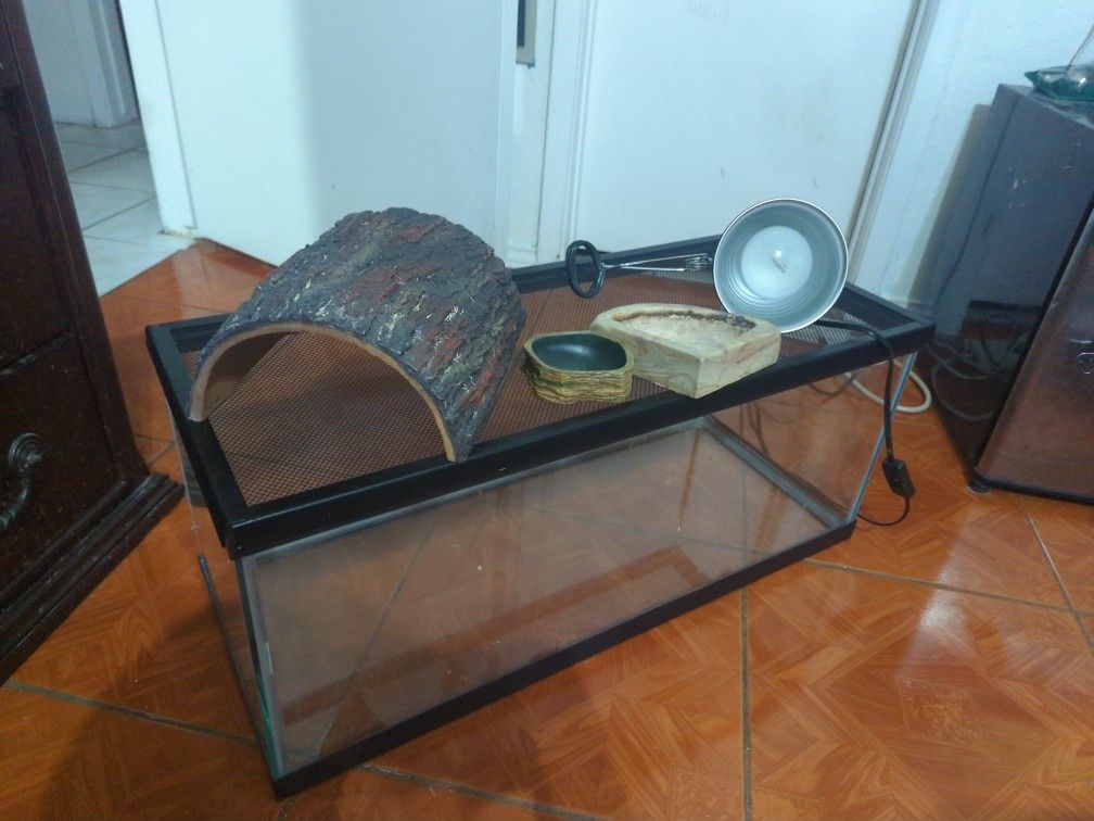 20 Gallon Tank And Accessories