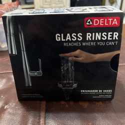 Delta Glass Rinser