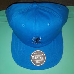 Harry Potter Ravenclaw Hat