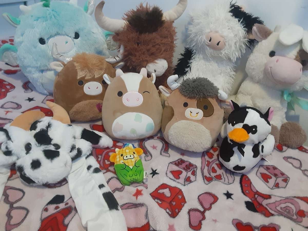 Cow Plushie