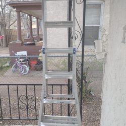 Werner Adjustable Ladder 