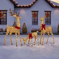 Member's Mark Pre-Lit Animated Deer Family, Set of 3 $169.99