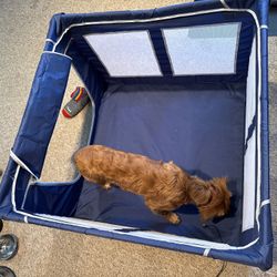 Play Pen