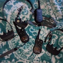 Sportdog E Collar Sdt54