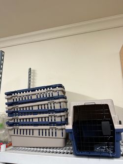 Dog And Cat Cage