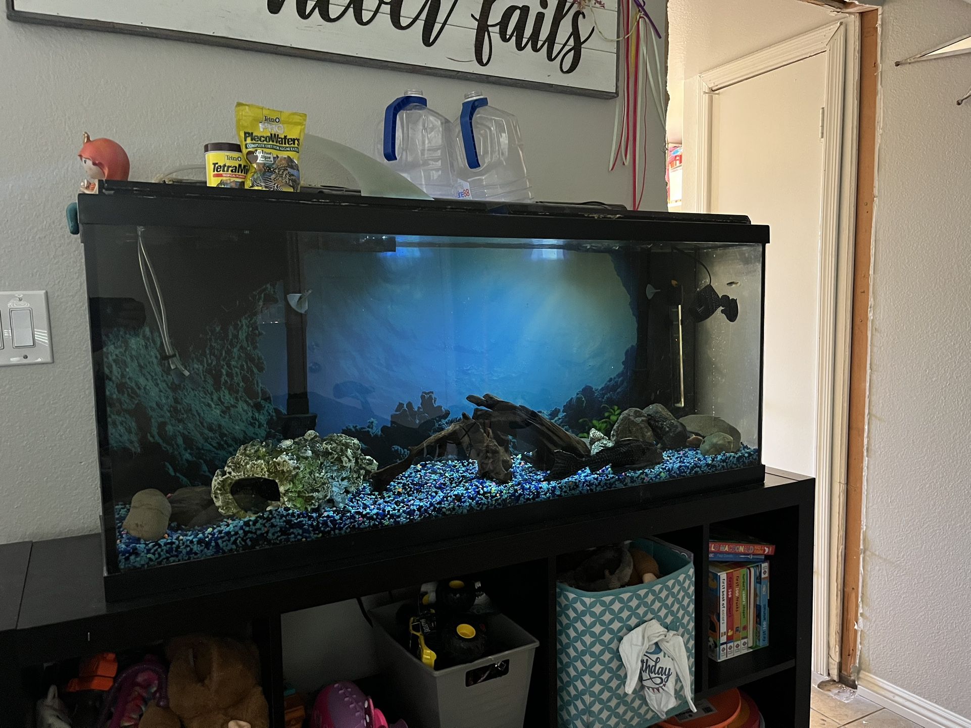 55 Gallon Fish Tank