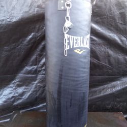 Everlast 70lb Punching Bag $50