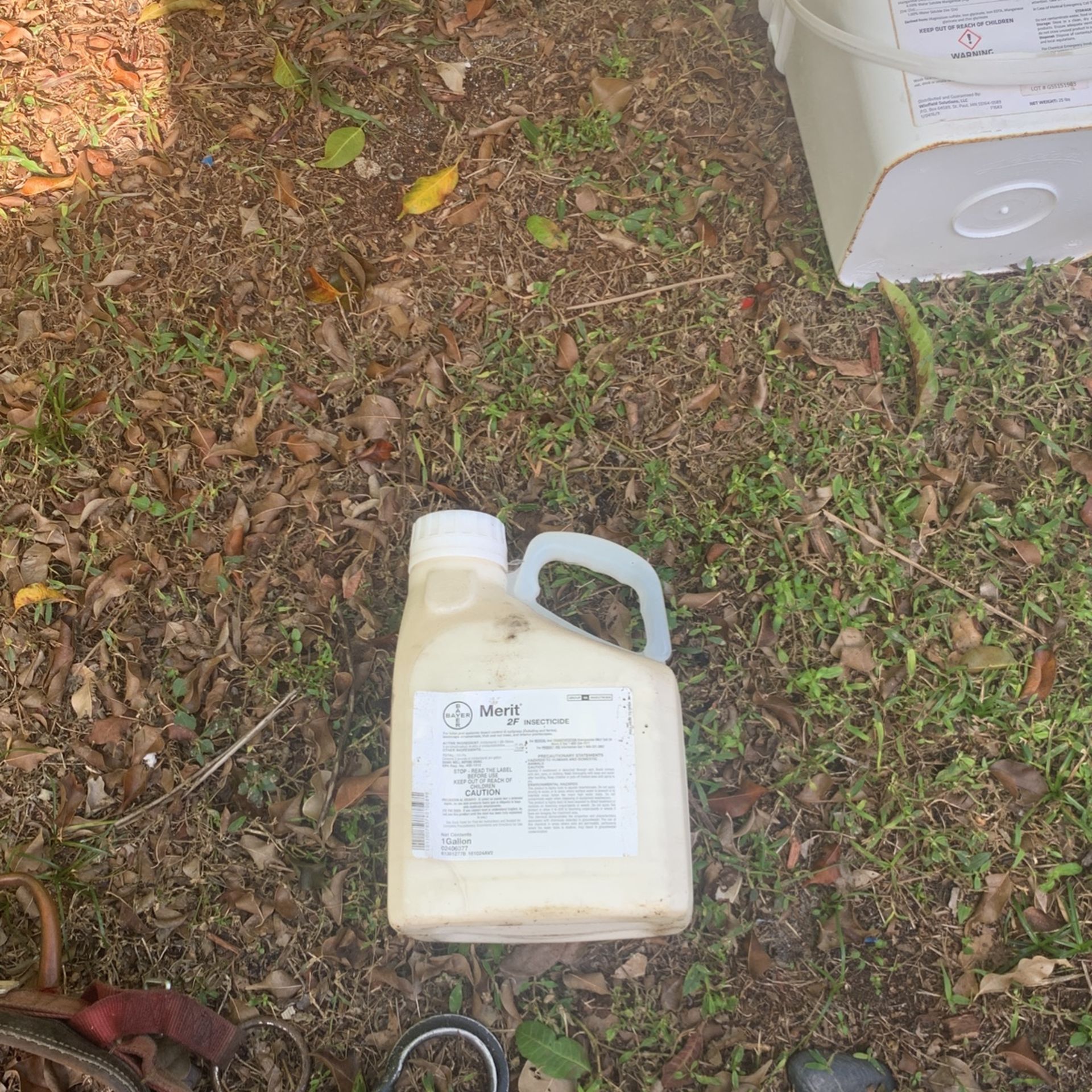 Merit Insecticide 1 Gallon