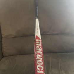 Cat 8 30 drop 10 Usssa
