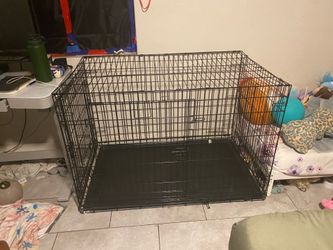 Xxl Dog kennel