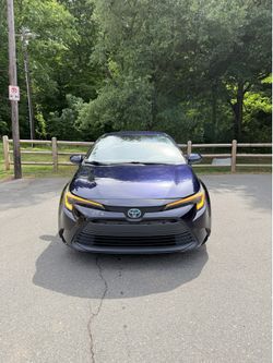 Toyota Corolla 2023 hybrid LE