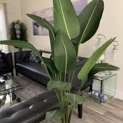Pretty Artificial Plant 6 Ft Tall ! Brand New 