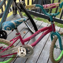   $25 Girls power  bike