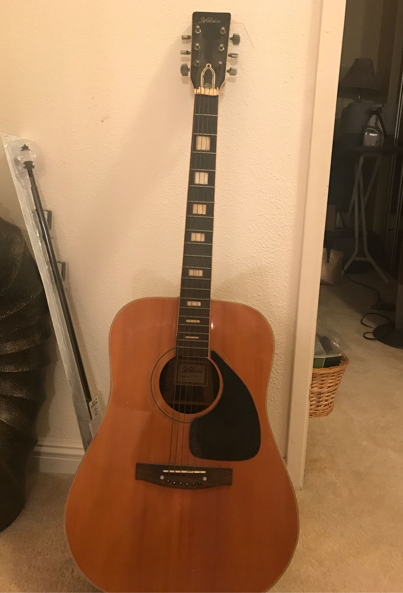 Guitar, Hikare H235