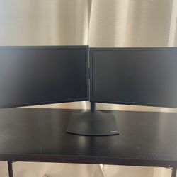 Dual 24” Computer Monitors + Stand