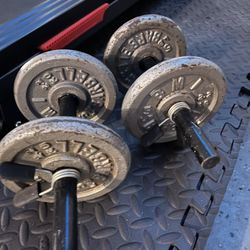 20lb Dumbbells 