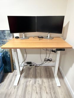 FlexiSpot Electric Standing Desk – 48” x 30” – Memory Presets – Excellent Condition