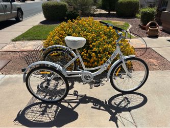 Adult 3 Wheel Bike