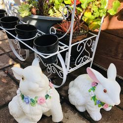 GARDEN RABBITS