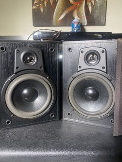 Dual Bookshelf Speakers — underrated 2000s American audio punchers that hit HARD for the price!