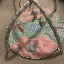 Baby Playmat