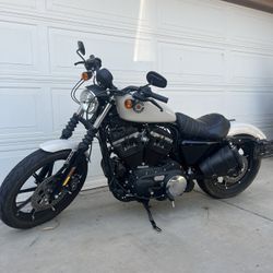 2022 IRON 883 XL883N