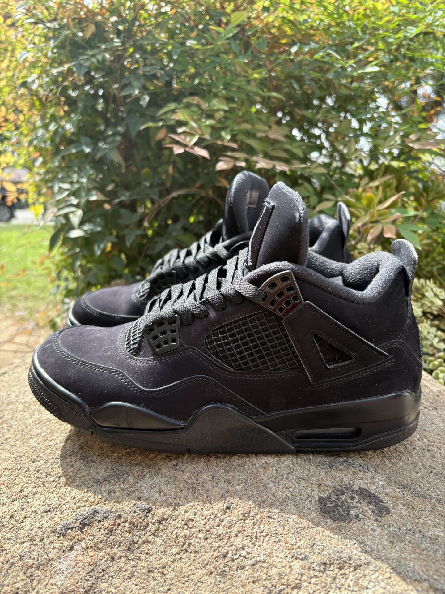 BLACK CAT 4S πββ¬