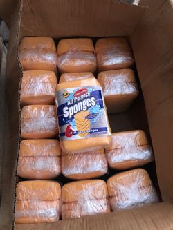 Sponges 🧽