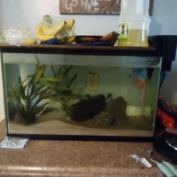 Fish Tank 55g
