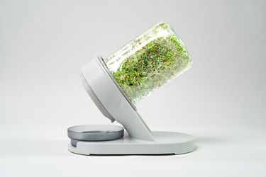 The Sprouter!