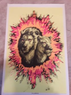The lions