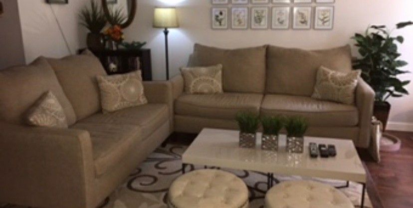 Sofa and Loveseat Set
