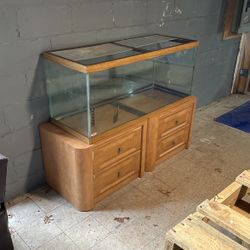 Fish Tank 