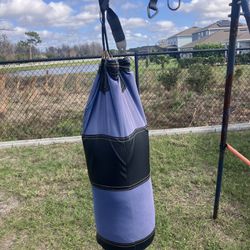 Punching/Boxing Bag