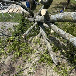 Tree Remover 