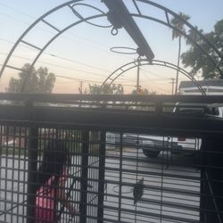 Parrot  Cage